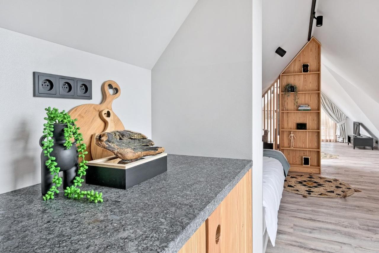 Apartment Attic
